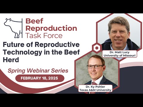 Future of Reprod. Technology in the Beef Herd - Drs. Lucy and Pohler - BRTF Spring Webinar Series