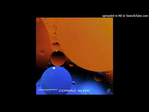 Martin Garrix pres YTRAM feat. Elderbrook - Coming Alive (Extended Mix)