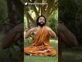 Learn The Correct Method Of Doing Pranayama Pranayam Pranayama Breathing Yoga Deepbreathing
