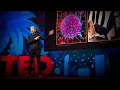 Sleep Is Your Superpower | Matt Walker | TED