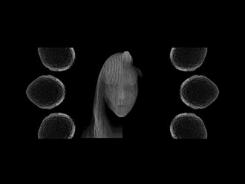 Temple Invisible - Segregate (Official Video)