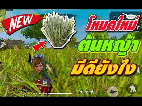 โกงฟีฟาย