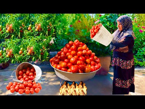 Winter Tomato Storage: 5 Genius Hacks for Long-Lasting Flavor