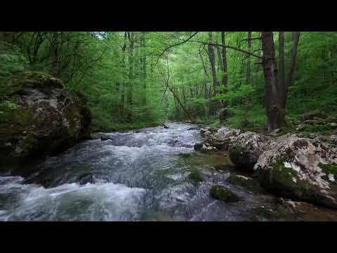 Vídeo de ríos gratis sin copyright 1 / Paisaje / Piedra / Naturaleza - Pixabay