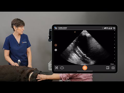 Clarius Auto Preset AI for VET