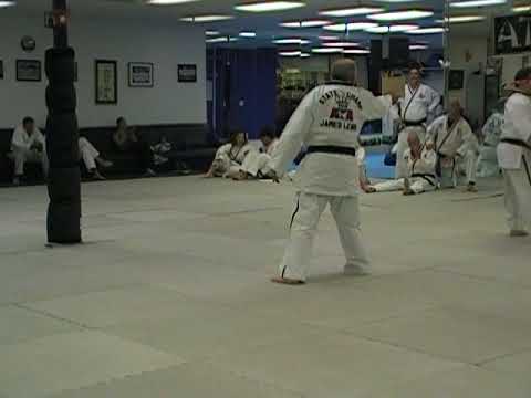 Patrick Lewis Blindfolded Jump Spin Hook Kick Speed Break