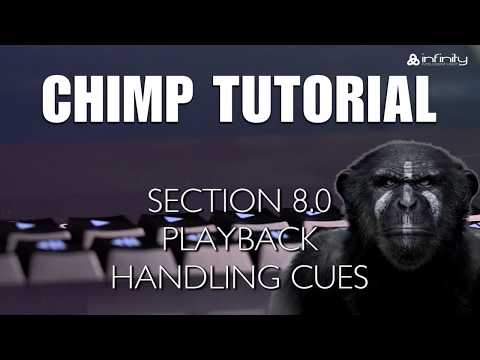 Highlite Academy - Infinity Chimp Tutorial: 8.0. Playback handling cues