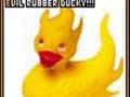 Rubber Duckies Unleashed
