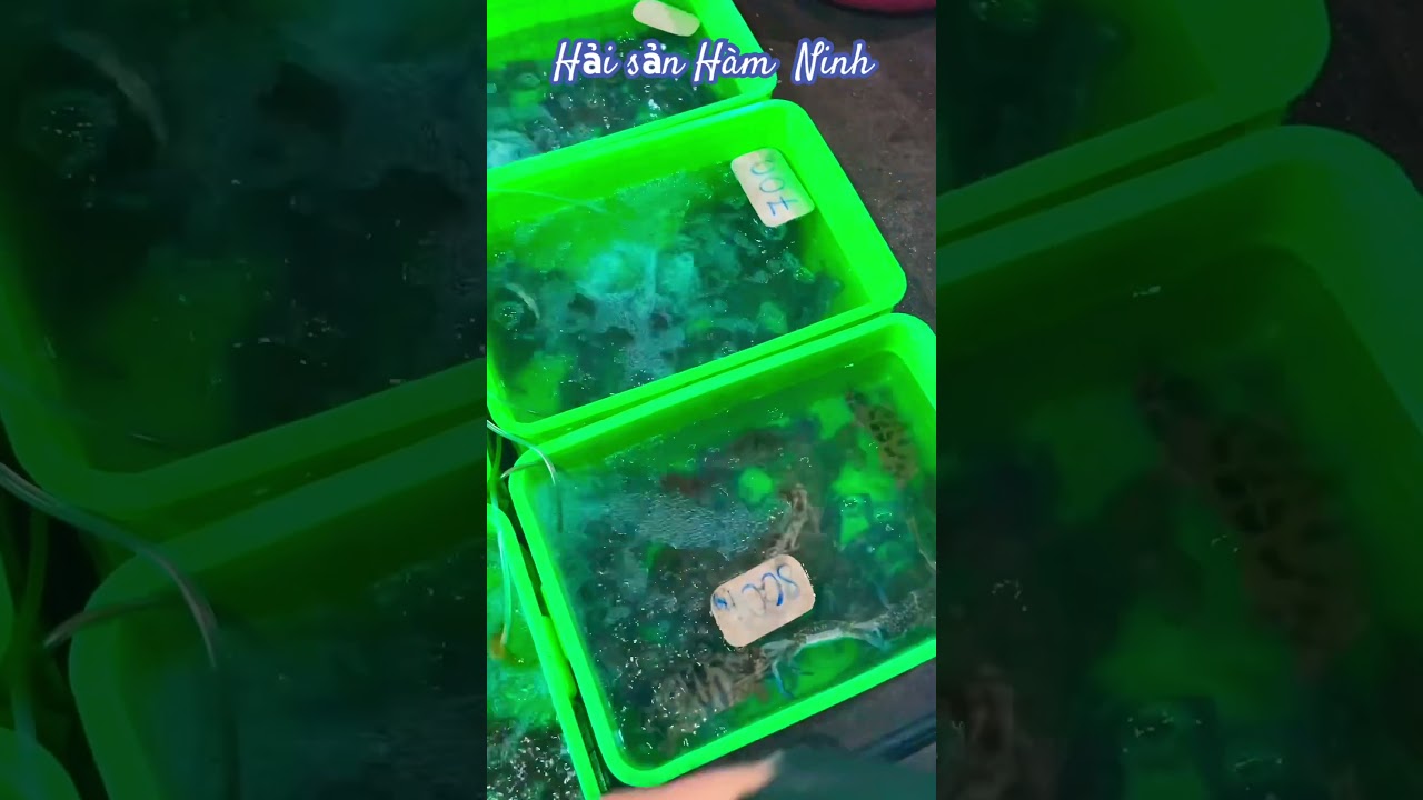 YouTube Short thumbnail