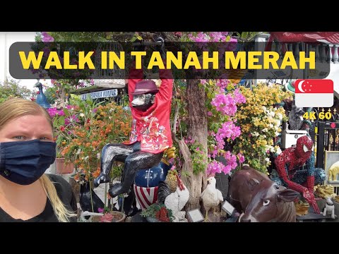 The Tanamera, 3 Tanah Merah Kechil Road, Bedok / Upper East Coast, Room Rental, 250 sqft, Condominium For Rent, by Vanessa Chuah, 500288449 - PropertyGuru.com.sg