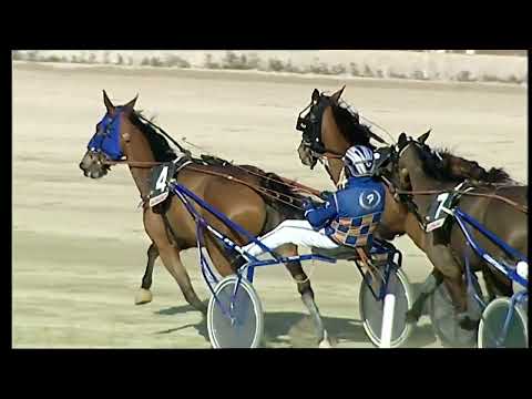 Napoli Trotto 04/02/2022 - 2ª corsa