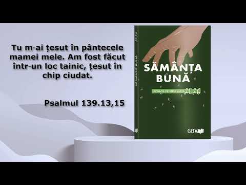Optimistul și pesimistul - joi, 15 octombrie