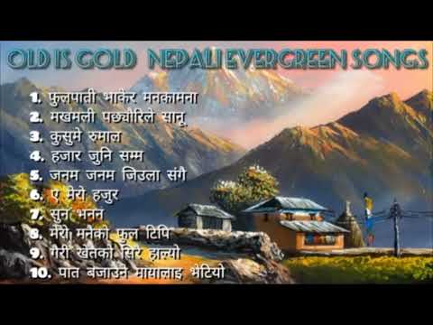 old golden songs nepali songs 🎤🥁🎻 ¡¡|| #nepalisong #nepalimusic #travel #song #karnatamang