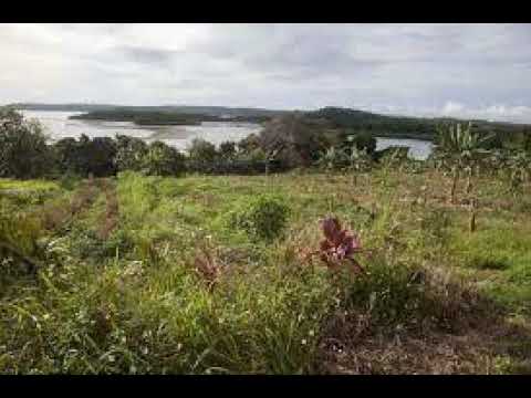 KUILA #2- FOTU E SIU NA MEI MOANA