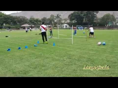 Academia Tito Drago Preparación de Arqueros (Nivel Formativo)