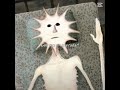 Doctor nowhere jeppy sun man #edit #memes