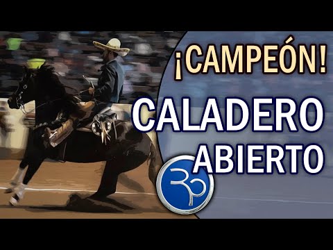 Open Fishing Grounds Champion - 5th Million Tournament 2019