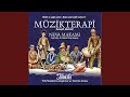Neva Makamı - Turkish Music Therapy