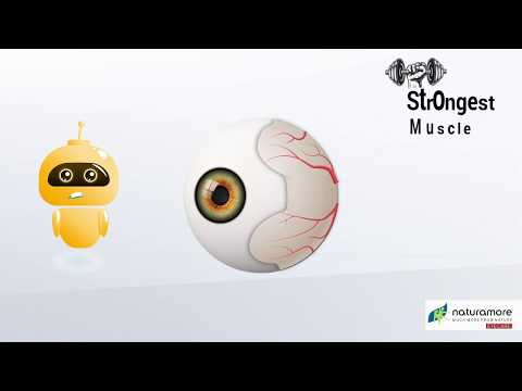 Naturamore eye care, 30 capsules, prescription