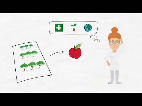 Folge 9 – Express – Mit CRISPR-Cas Pflanzen züchten