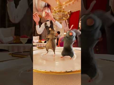 rata bailando #ishowspeed #dance