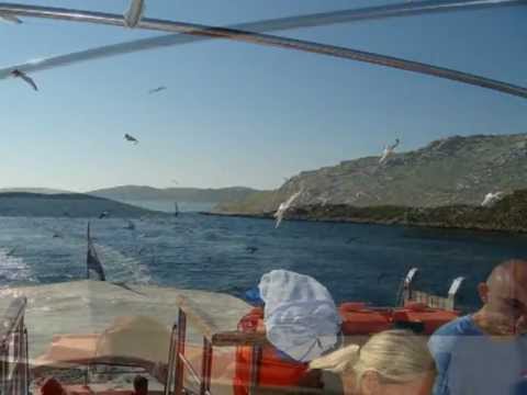 Tamara Brusić - Kapetan