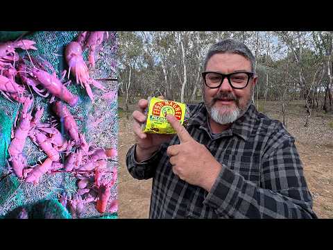 I've Discovered A New Secret Bait For Catching Yabbies