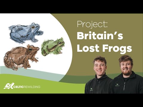 Celtic Rewilding - Bring Back Britain's Lost Frogs! (Rewilding Britain Webinar)