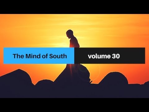 The Mind of South volume 30 (PREVIEW)