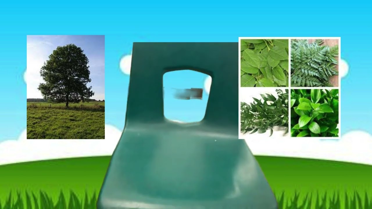 Climate Change by Precious T., Mala C., William T. and Klril S. (Princess Elizabeth Public School Grades 6-8)