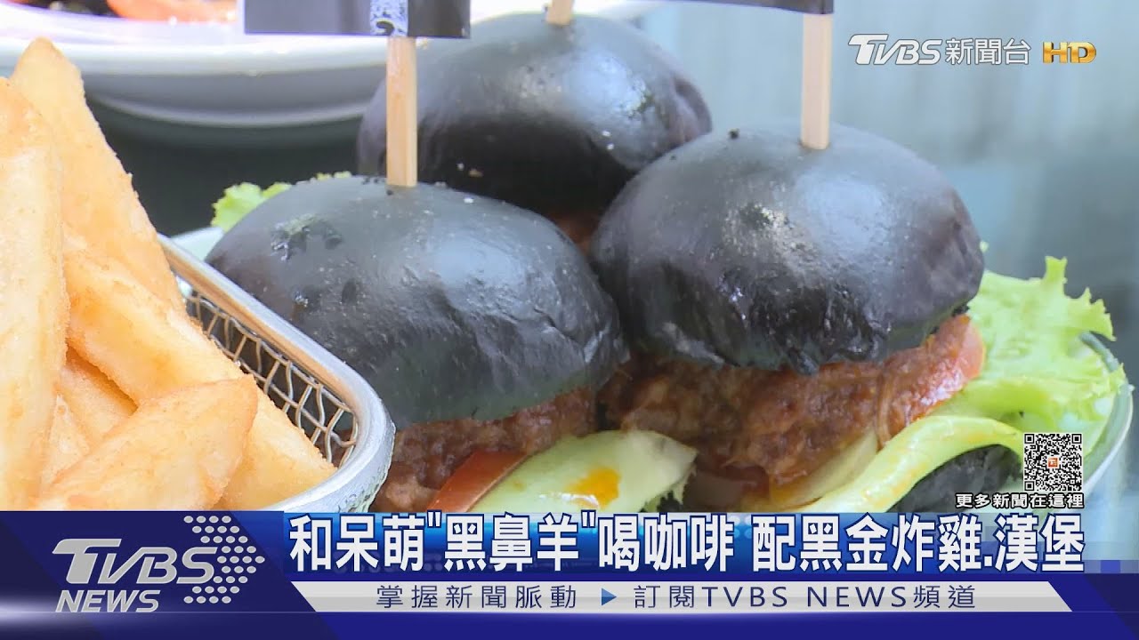 和呆萌「黑鼻羊」喝咖啡　配黑金炸雞.漢堡