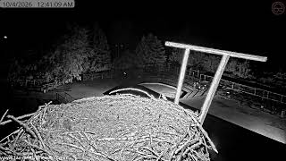 Montana · Dunrovin Nest live stream