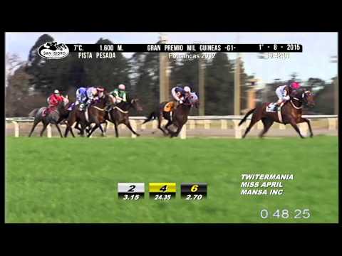 2015 08 01 si Mecha Corta