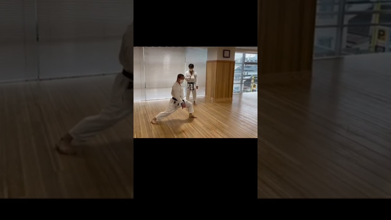 JKS National Seminar online with Kagawa Shihan 全国講習会オンライン