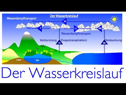 Der Wasserkreislauf