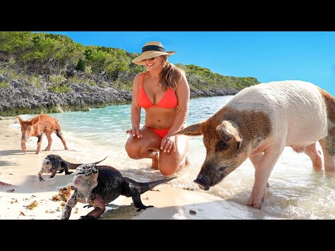 Exploring New Bahamian Islands | Spearfishing & Swimming Pigs in the Exumas