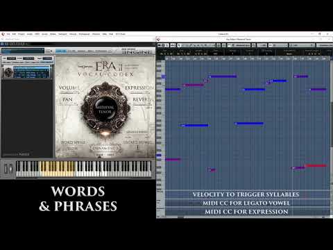 Era II Vocal Codex - Medieval Tenor | Best Service