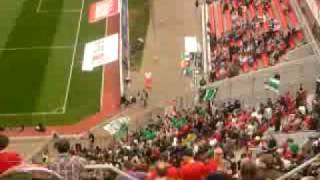 Hannover 96 in Leverkusen part II