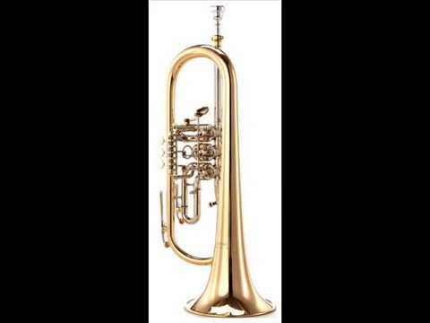 Dragan Ignjic - Radovanov Zavicaj