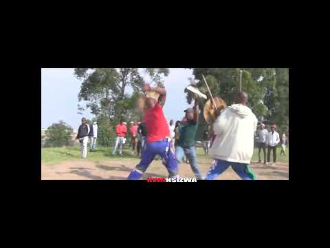 Zulu warrior - Sangoma vs Gulukudu🇿🇦
