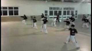 preview picture of video 'Quines Chaiu-Do-Kwan Filial Quines San Luis'