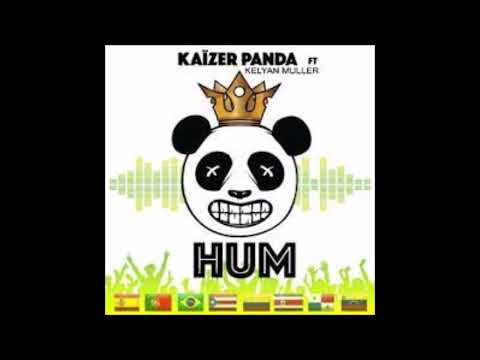 KAIZER PANDA Feat. KELYAN MULLER - Hum (2018)