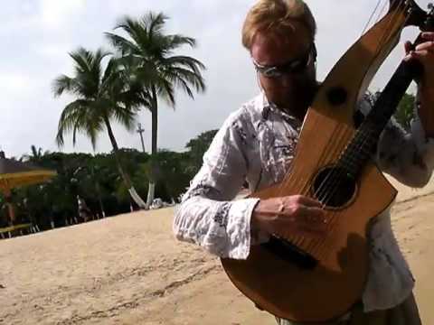Jason Carter - Harp Guitar - Moments Of Joy