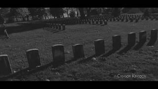 Demise of Sanity - War in the Roses [Official Music Video]