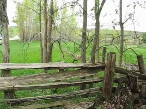 download lagu mp3 mp4 Morel Mushroom Season Ontario, download lagu Morel Mushroom Season Ontario gratis, unduh video klip Morel Mushroom Season Ontario