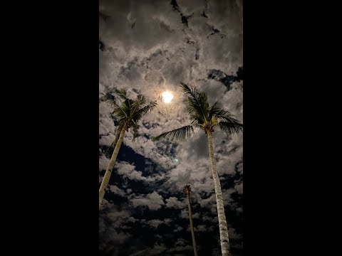 TOKSON  x SZeaNZ - Postęp