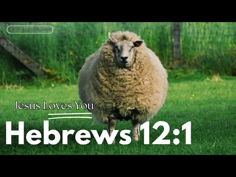 Hebrews 12:1: Run with Endurance