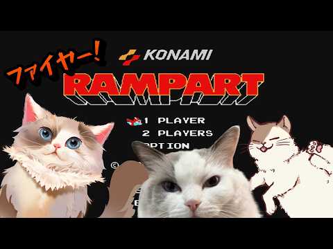 【#レトロゲーム】ランパート / 領土広げるパズルゲーム？【#ケモノ系Vtuber】#shorts