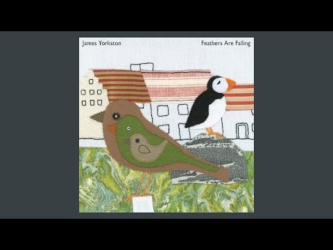 James Yorkston - Feathers Are Falling (Official Audio)