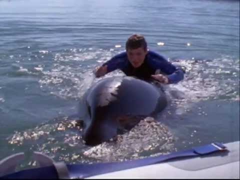 Free Willy 3 - (1997) trailer